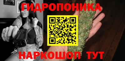 винт Будённовск