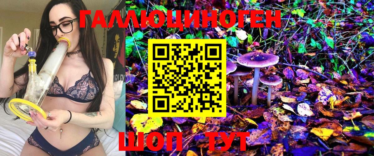 продажа наркотиков  Георгиевск  Галлюциногенные грибы ЛСД  Галлюциногенные грибы Psilocybe 