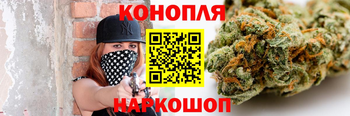 Конопля гибрид Георгиевск