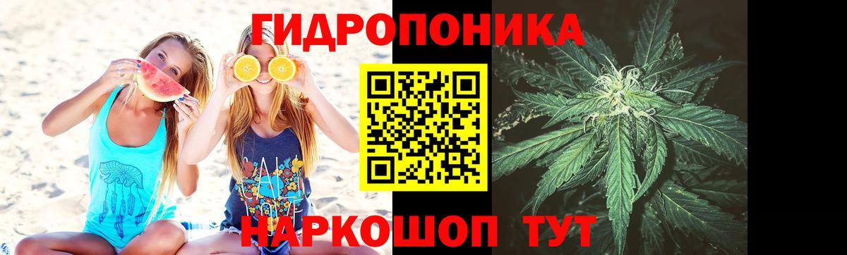 Марихуана Amnesia Георгиевск